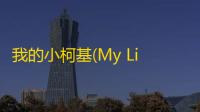 我的小柯基(My Little Puppy)手机版游戏（暂未上线）