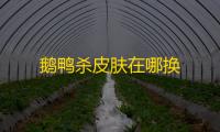 鹅鸭杀皮肤在哪换